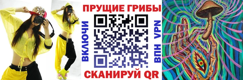 Псилоцибиновые грибы Magic Shrooms  гидра как зайти  Тутаев 