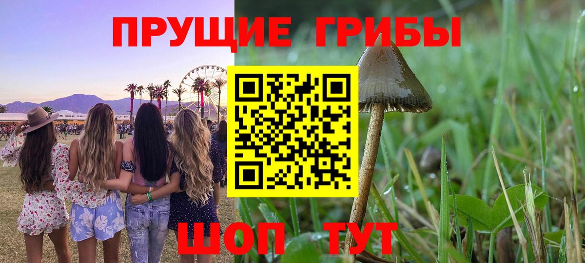 Галлюциногенные грибы мицелий  хочу   Псилоцибиновые грибы Magic Shrooms  Тутаев  Вход с VPN 