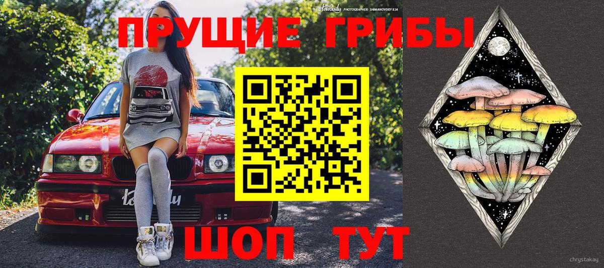 Псилоцибиновые грибы мухоморы  Тутаев 